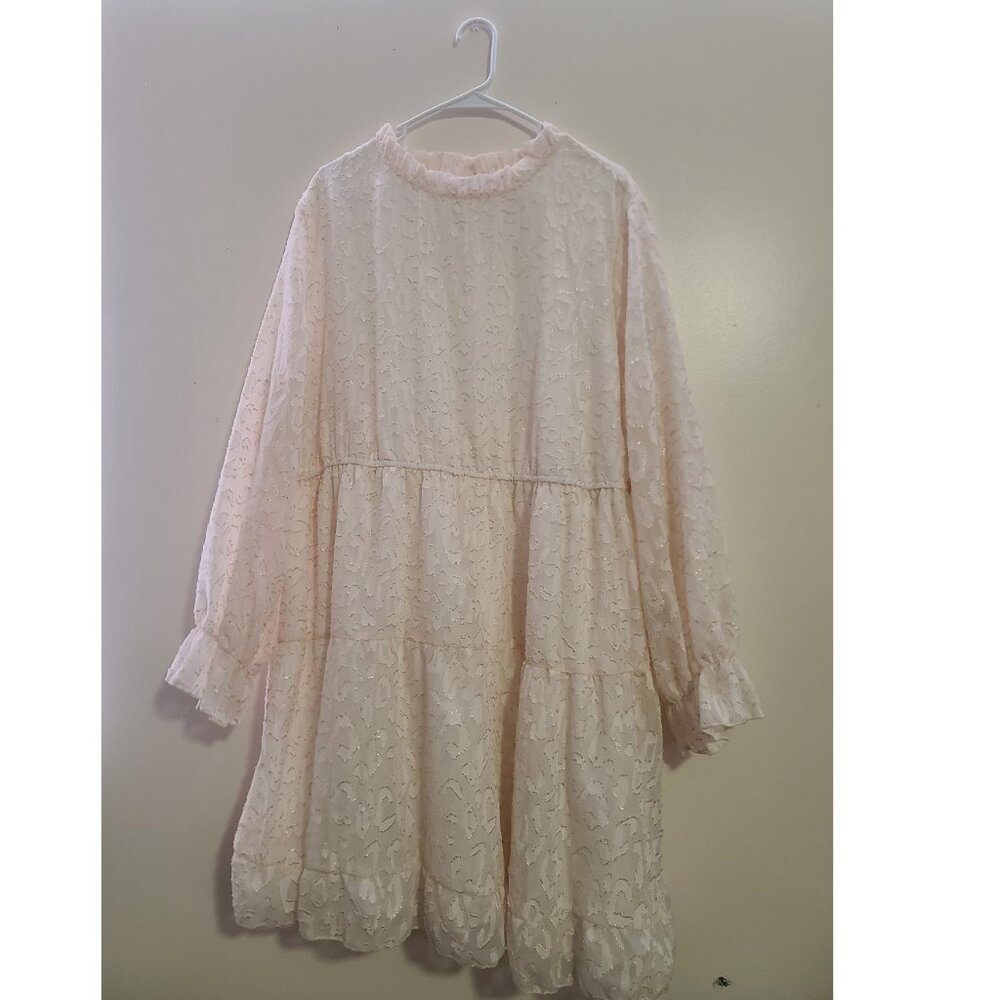 Long Sleeve Dress